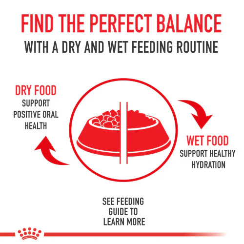 Royal Canin Bulldog Adult Dry Dog Food, 30 lb. - Image 5